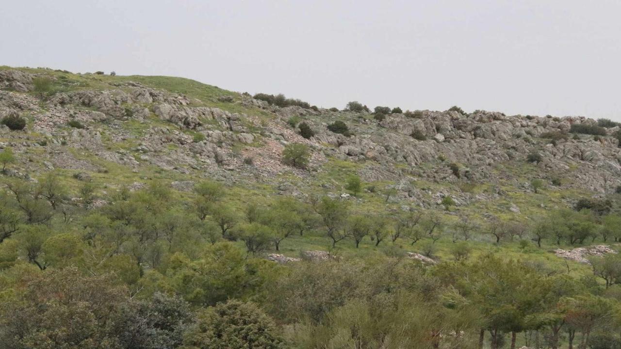 Апартаменты El Rincon De San Jose Мархалиса Экстерьер фото